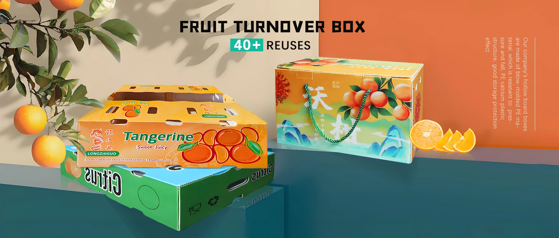 Fruit turnover arca elit
