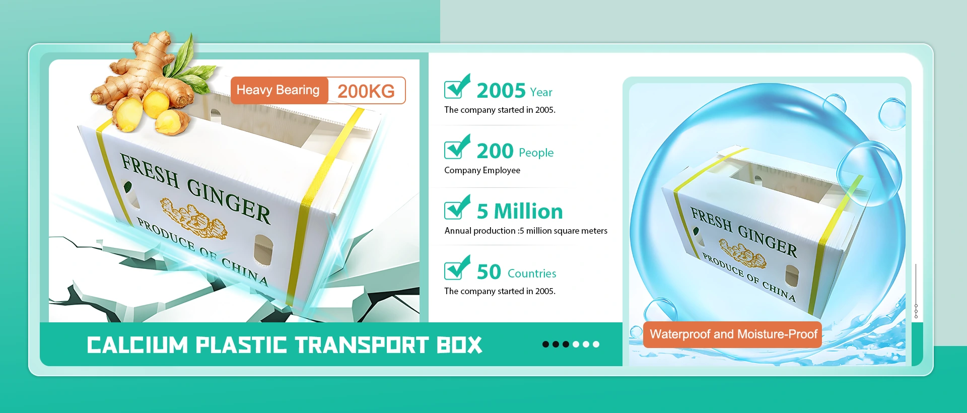 Sinis calcium plastic onerariam archa manufacturer