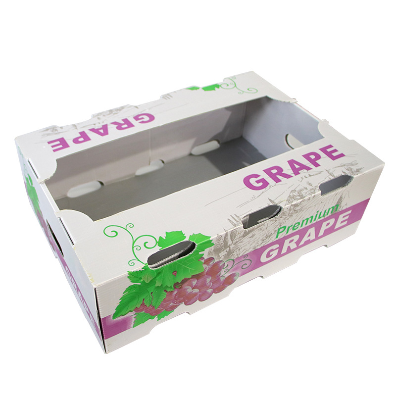 Cavae Board Boxes: An Outstanding Electio enim innovative packaging - quam eligere ius cavationis tabula buxum pro te?
