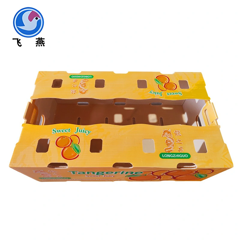 Potest customized fructum packaging adipiscing occursum Eco-conscious Consumer postulat?