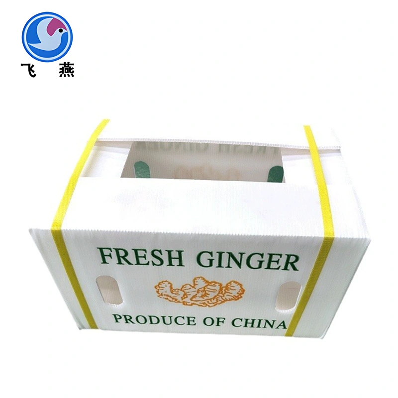 Quomodo potest a PP vegetable recens-Keeping arca vestra culina?