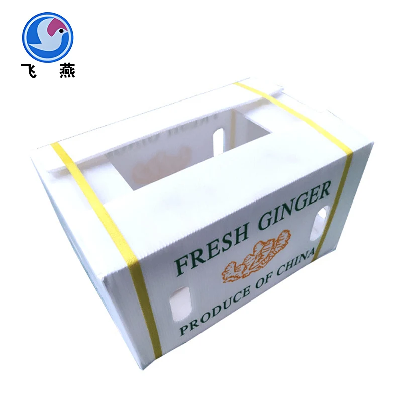 Calcium plastic cavati Box Box
