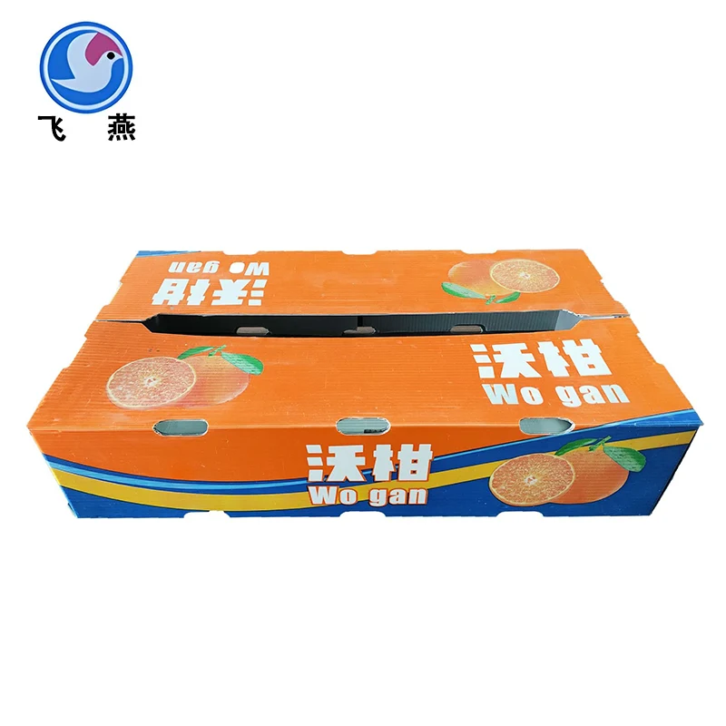 Fructus calcium plastic turnover arca