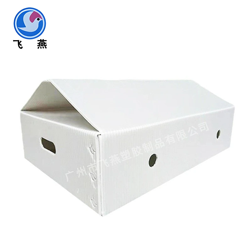 Green Plant PE cavae Board turnover Box