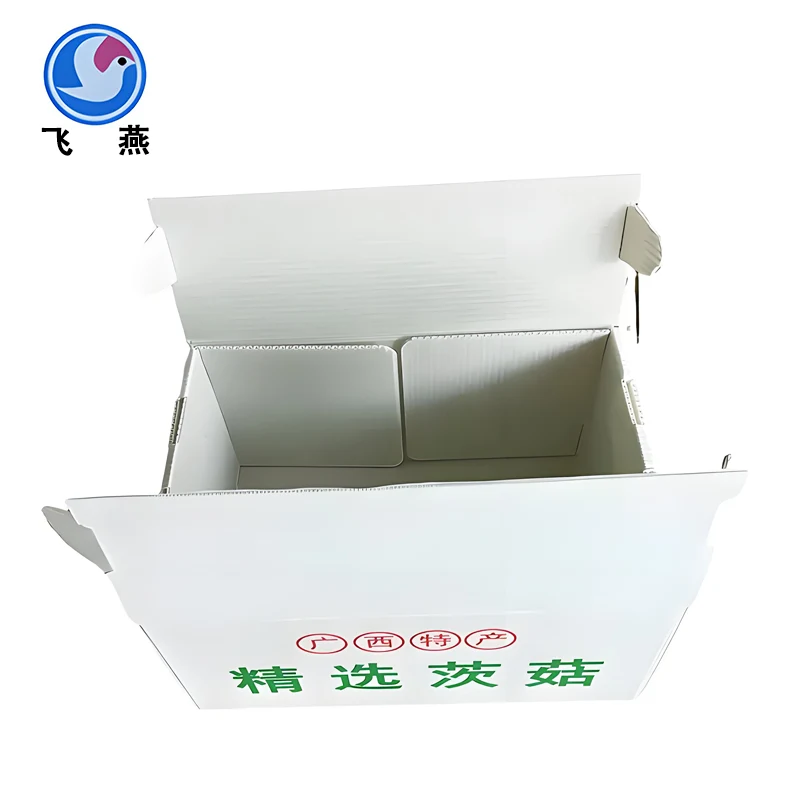Boletus packaging arca